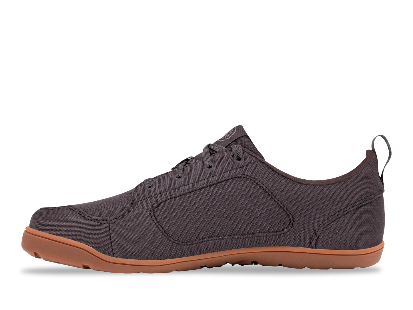 Hellbender Brown