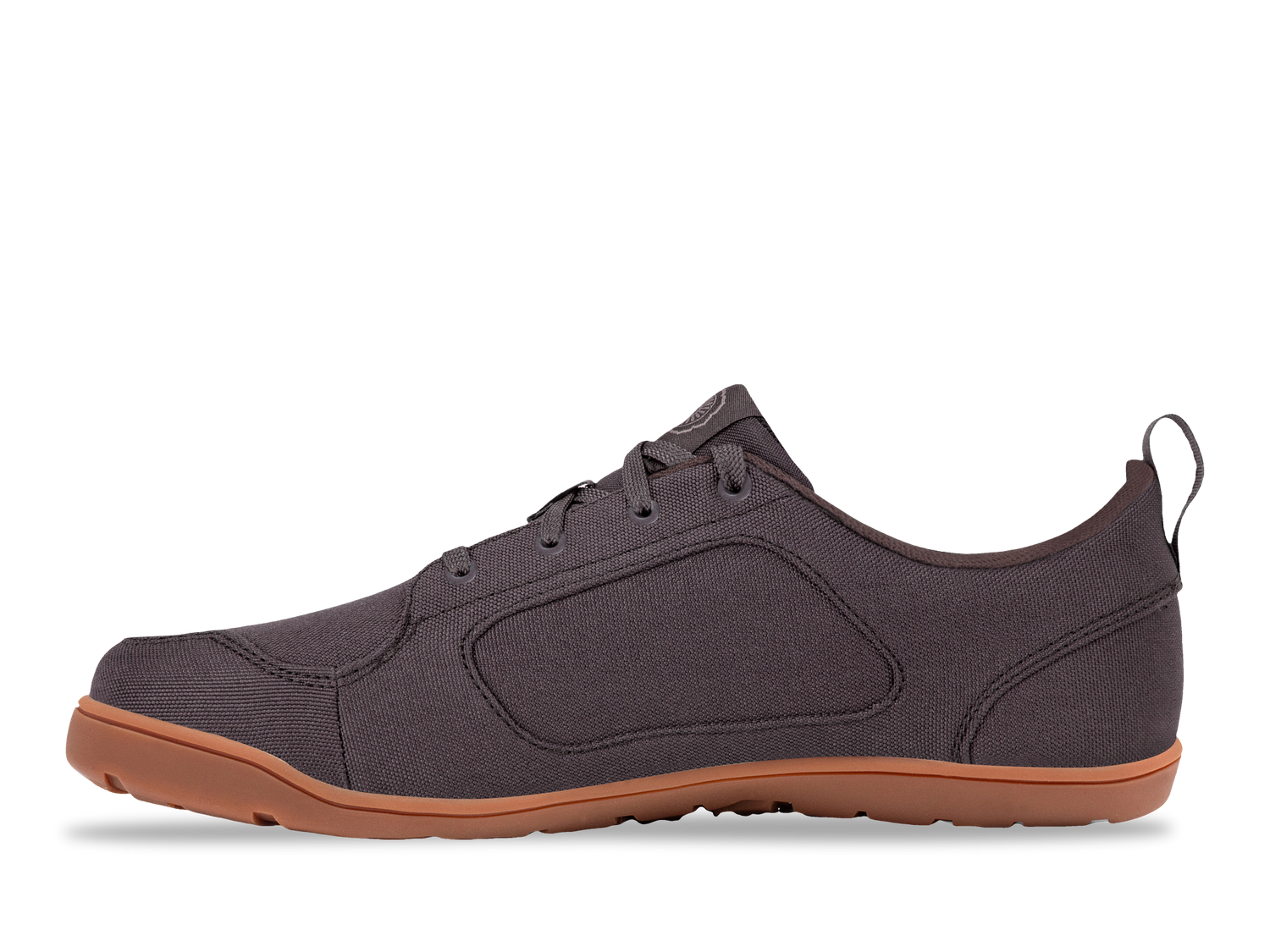 Hellbender Brown