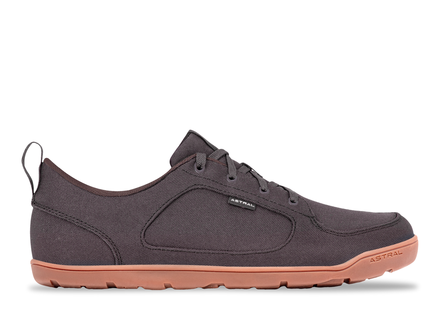 Hellbender Brown