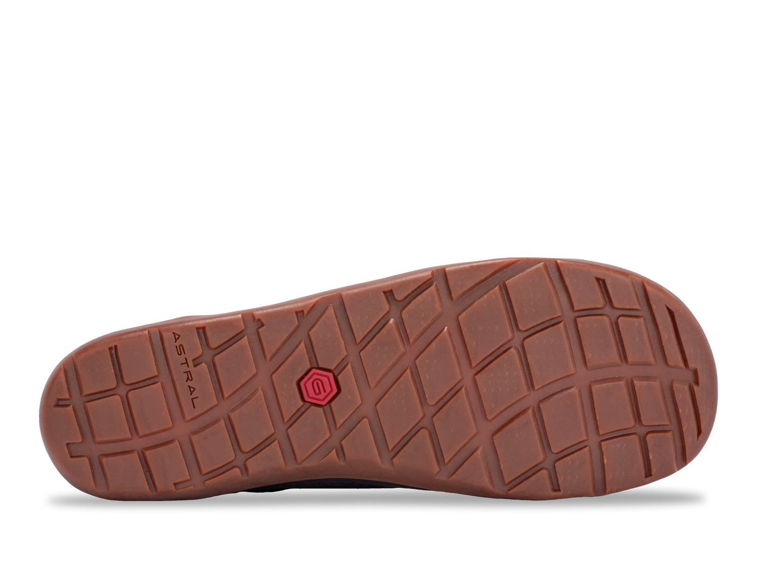 Hellbender Brown