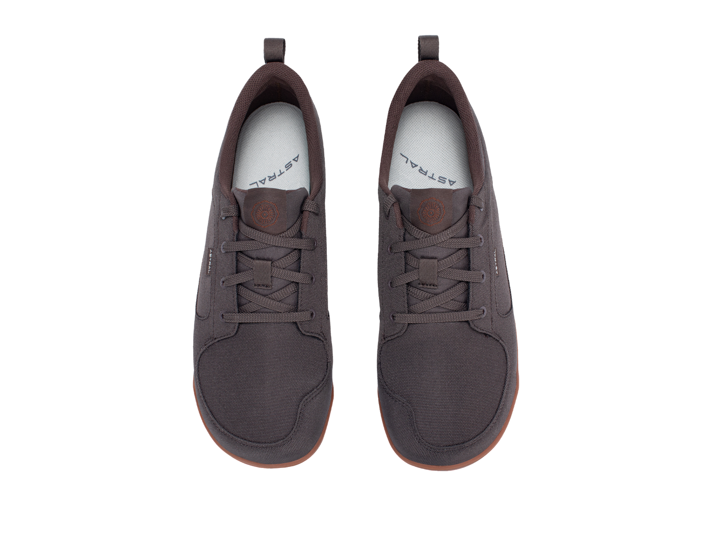 Hellbender Brown