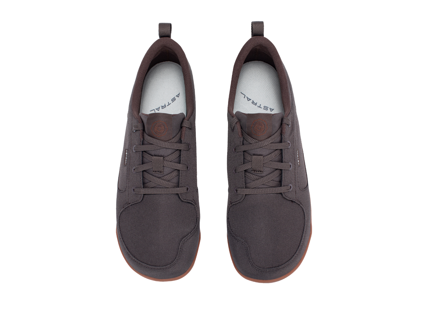 Hellbender Brown