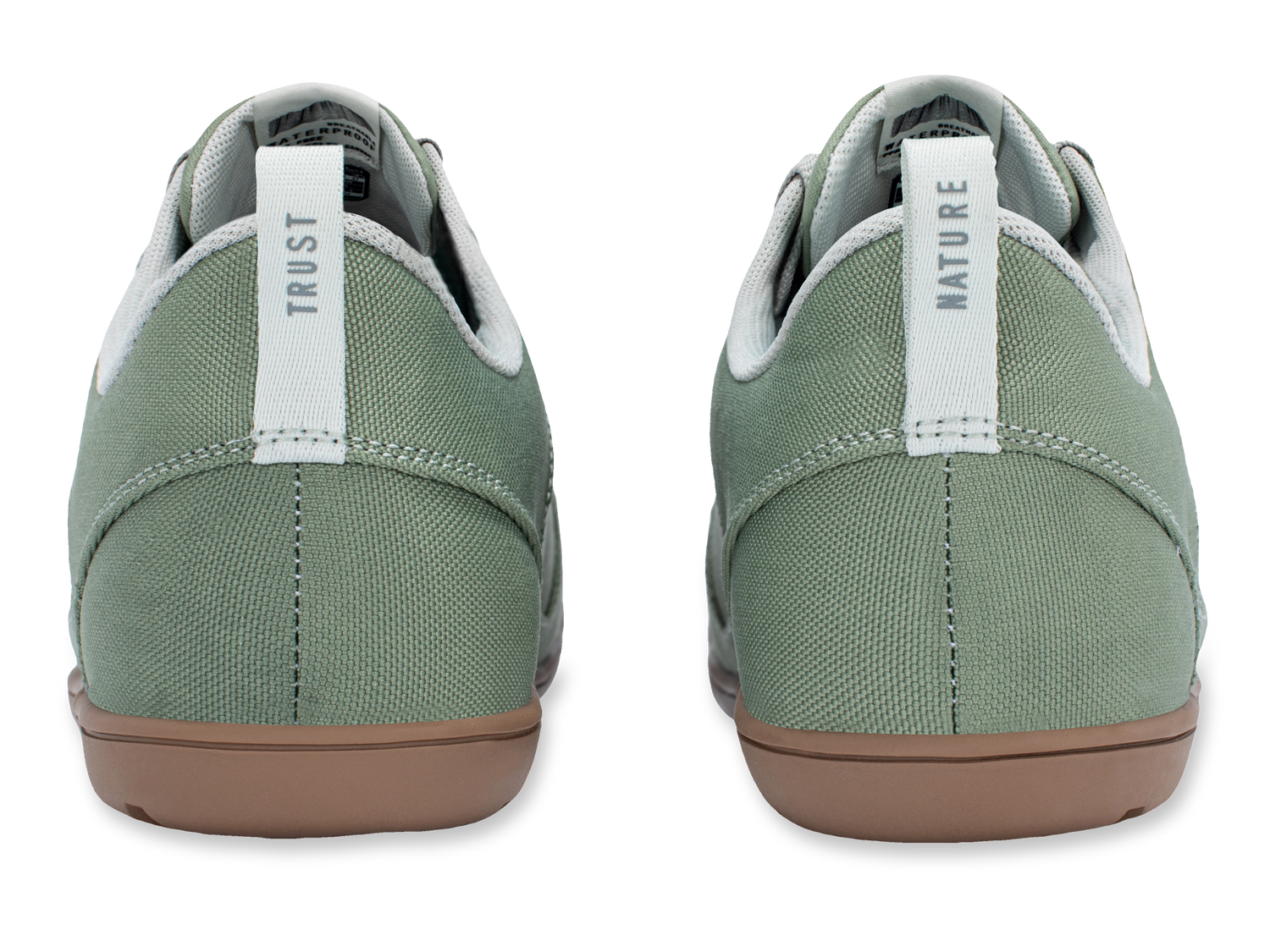 Mist Green