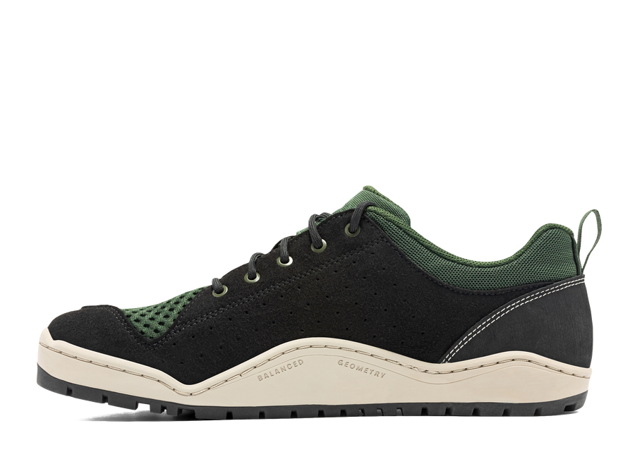 Fern Green