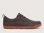 Hellbender Brown