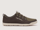 Hellbender Brown