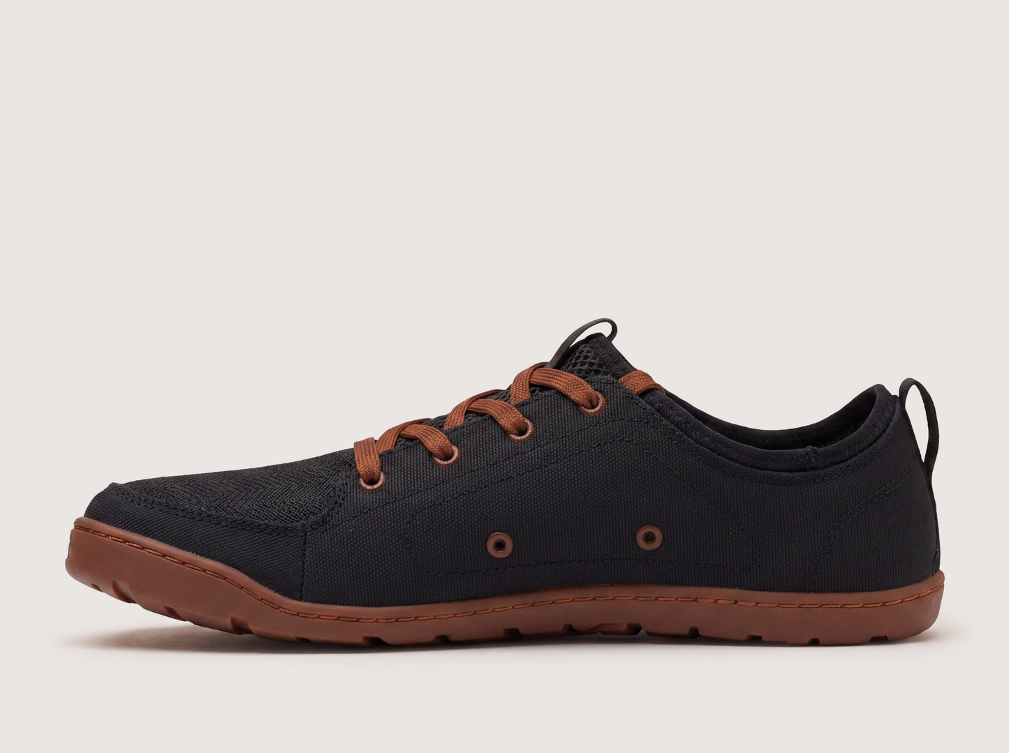 Black/Brown