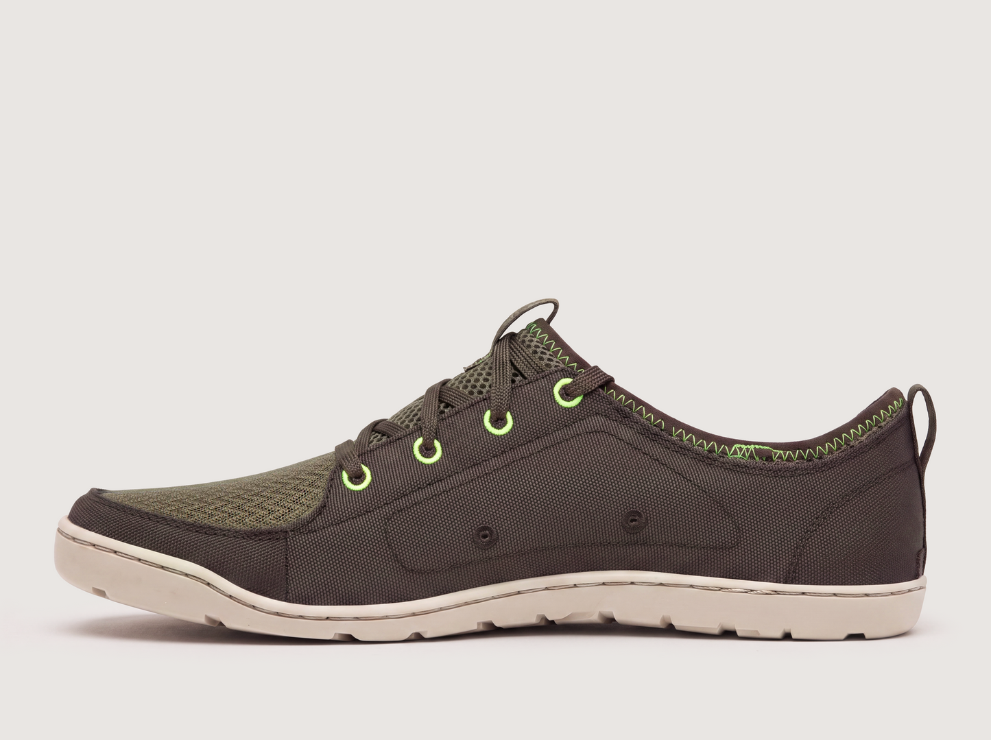 Hellbender Brown