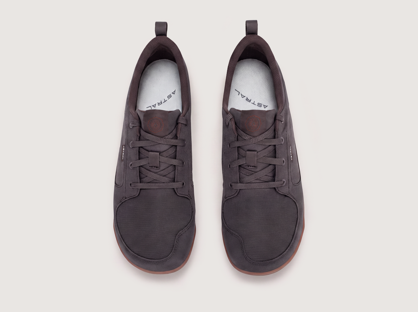 Hellbender Brown